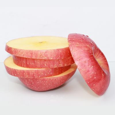 China China Wholesale Fresh Fruit Fuji Red Apple With Export Price for sale