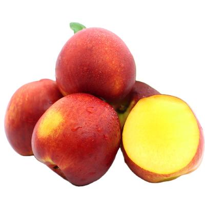 China Fresh Nectarine Fresh Peach Nectarine Fruit Seeds for sale