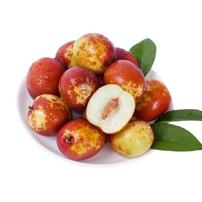 China High nutritious --China quality jujube fresh juicy taste sweet winter jujube good for health for sale