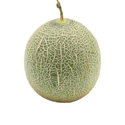 China Hami Melon New Carton Fresh Vitamin B A Sweet Green Port 20 Kg 23 Cn Grade Healthy Food Oval-round Shaped Fresh Qingdao Cm for sale