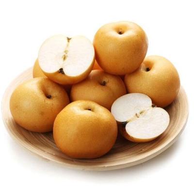 China Yue qiu fresh export sweet and crisp pear for sale