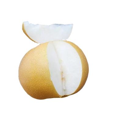 China Fresh high quality price yellow fresh qiu ouch Yue pear for sale