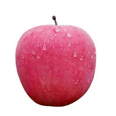 China Wholesale Sweet Fresh Nutritious Healthy Fuji China Sweet Juicy Fresh Red Apple for sale