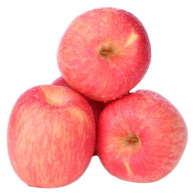 China China Fuji Fresh Crispy Fresh Sweet Healthy Red 2021 Apple for sale