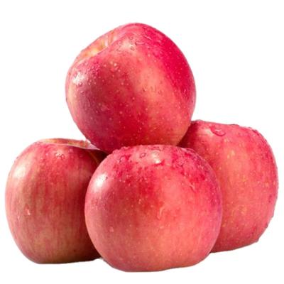 China Fuji Fresh Chinese Fresh Sweet Crispy Competitive Red Apple for sale