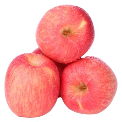 China 2021 export fresh Chinese popular fresh fruit Fuji red apple for sale