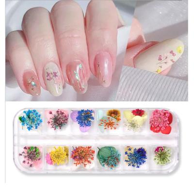 China Nail Art Decoration Hot Fashion 12 Grid 3D Mix Dry Dry Flower Leaf DIY Nails Art Decoration For UV Gel Polish for sale