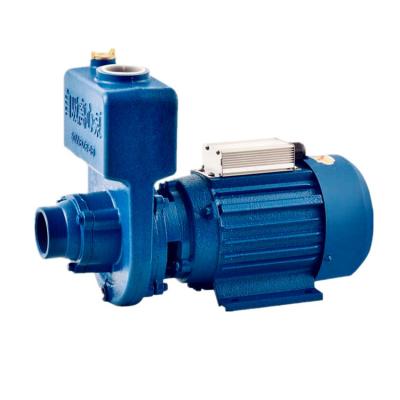 China Brushless DC 48V60V Centrifugal Sewage Pump High Head Pump Self-priming Centrifugal   Pump for sale