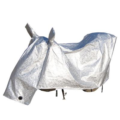 China Waterproof Motorcycle Cover Motorcycle Rainwear for sale