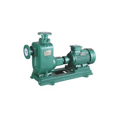 China Horizontal Irrigation and Agriculture Aquarium Pump Split Suction Sewage Self-priming Bare Shaft Centrifugal Water Pumps with Motor for sale