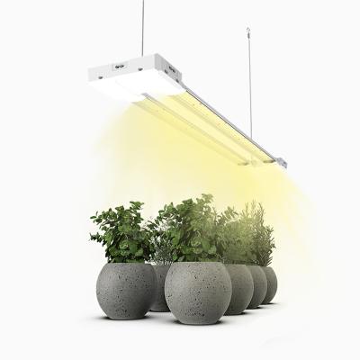 China Seed Starting LED To Grow Plant Integrative Light 60W (200W Equivalent) Sunlike Full Spectrum For Indoor Plant Hydroponic Veg Seedling for sale