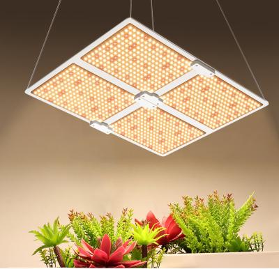 China Seed Starting 1000W 2000W 4000W Quantum Grow Light Sunlike Full Spectrum LED Phyto Lamp For Plant Hydroponic Greenhouse VEG FLOWER Grow Light for sale