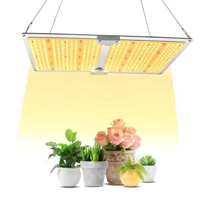 China Seed Starting LED 2000 Grow Lights 2x4 Ft Coverage LM301B MeanWell Light Driver Dimmable Full Spectrum For Indoor Hydroponic Plants for sale