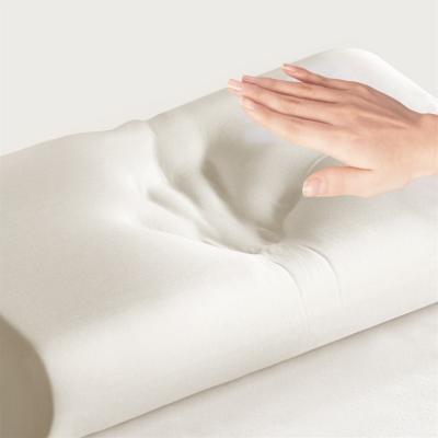 China 60*40*12cm Bamboo Memory Foam Removeable Cover Classic Memory Foam Pillow for sale