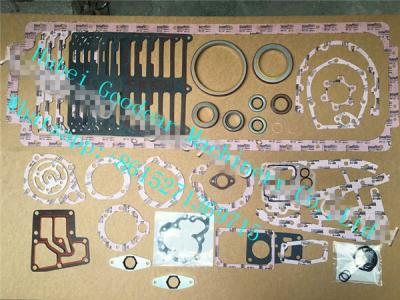 China Chongqing  N14 diesel engine lower  gasket kit 4025069 for sale