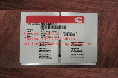 China Dongfeng  QSB6.7 diesel engine piston ring 4955251 in stock for sale