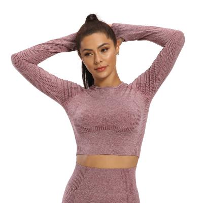 China Breathable Small Holes Seamless Fitness Tops Loungewear Sports Yoga Shirts Slimming Finger Long Sleeve Crop Tops Women for sale