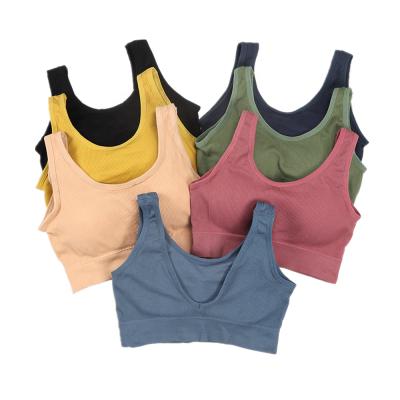 China Factory Modern Women Crop Tank Tops Wholesale Fitness Breathable Seamless Camisole Underwear Sleeveless Sports Bra Tops For Sportsman for sale