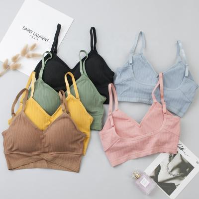 China Wireless Breathable Women Sports Bra Bralette Cotton Padded Fashion Top Female Soft Simple Lingerie Tube Tank Breathable Underwear For Girls for sale