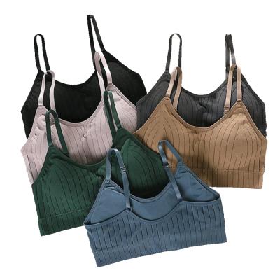 China Breathable Fashion Seamless Lift Up Camis Striped Bralette Top Lingerie Female Radio Padded Bralette Bra Underwear Tube Top For Women for sale