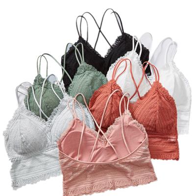 China Factory New Lace Transparent Bralette Women's Breathable Bra Tops Beauty Cute Back Girls Camisole Bra Lingerie Breathable Elegant Tube Top for sale