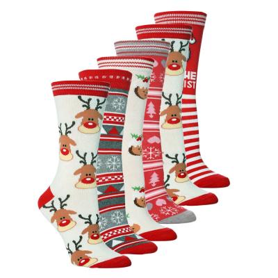 China Antibacterial Warm Adult Christmas Socks Elk Tree Snowman Personalized Knit Cotton Socks Cute Halloween Free Size Tube Socks Wholesale Price for sale