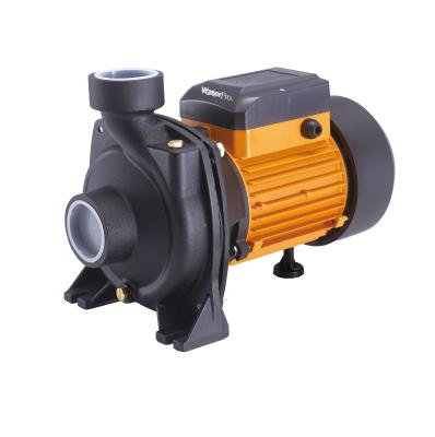 China Large High Efficiency WATERPRO 3HP Flow Farm Irrigation Centrifugal Pump Motor Pump OEM ODM Electric Manufacturer China for sale