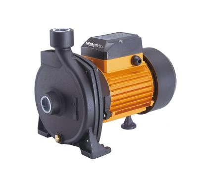 China World Water Solutions WATERPRO Developing Hot Sale 0.5HP Electric Centrifugal Water Pump Mini Surface Pump Water Pumps Supplier for sale