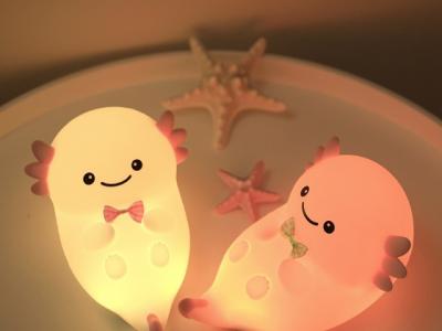 China Customize Your Lighting With Adjustable Brightness Night Light 4H Charging Time for sale