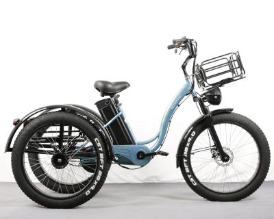 China Factory Price Single Speed ​​Steel Frame 250-800w 48v 10-25Ah High Power Electric Tricycle for sale