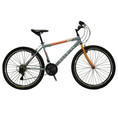 China Popular Popular 24 Inch Mountain Bike Steel Frame 3*7 Speed ​​, MTB Steel Frame For Youth for sale