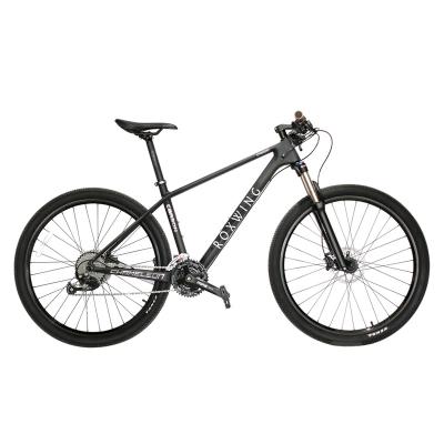 China NEW 26 10 Inch Carbon Fiber MTB Mountain Bike XCM Speed ​​Lockout Mountain Bike for sale