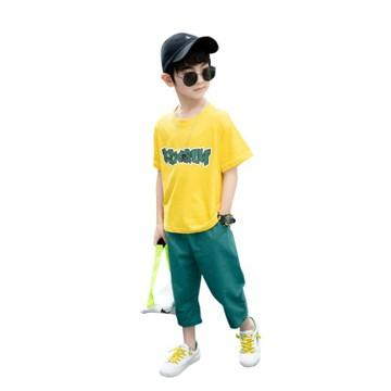 China 100% Cotton Kids Clothing Boys Summer Cartoon Shorts Pants Sports Suit Baby Kids for sale