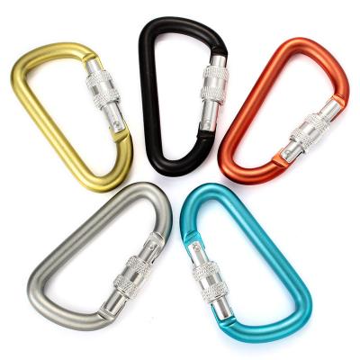 China Factory direct sale custom lock lightweight carabiner D shaped key chain carabiner mini aluminum alloy carabiner for bag key chain kettle for sale