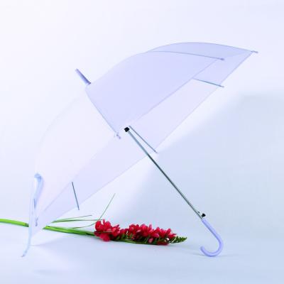 China Plastic Promotion Customized Logo Cheap Transparent Umbrella for sale