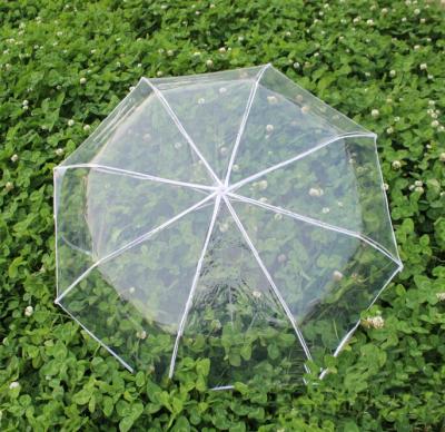 China Plastic Custom Design Cheap Transparent Folding Umbrella for sale