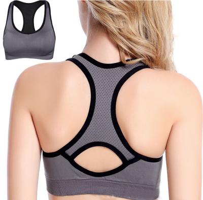 China Antibacterial Women's Sports Bra Padded Seamless High Impact Yoga Gym Workout Fitness Support for sale