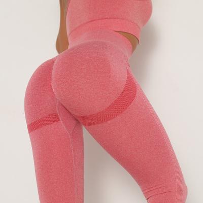 China Gym Breathable Elastic High Hip Lift Up Yoga Pants Solid Women Sport Pants Breathable Fitness Yoga Gaiters for sale