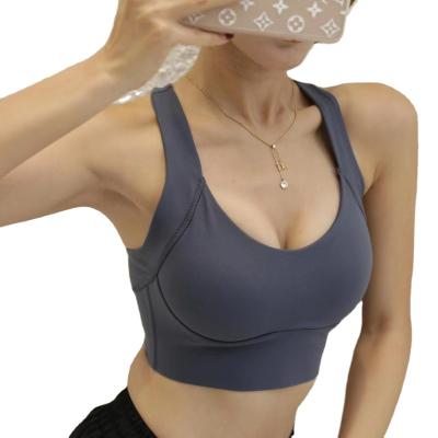 China High Quality Breathable Plus Size Ladies Gym Yoga Women Fitness Woman Sports Seamless Bra for sale