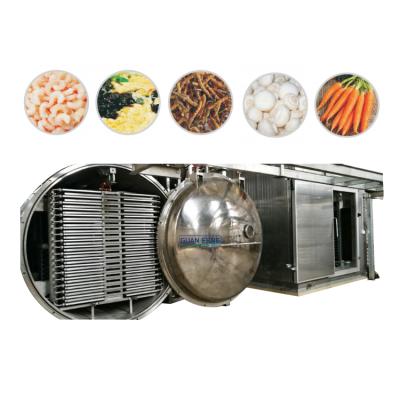 China Food Processing Vacuum 100m2 Freeze Dryer Pet Food Freeze Drying Equipment Salmon Lyophilizer for sale