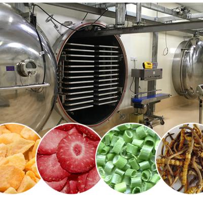 China Food Processing Industrial Hemp Freeze Dryer Herb Freeze Dryer Machine Vacuum Freeze Dryer for sale