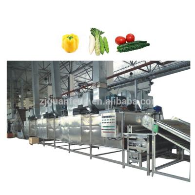 China Commercial Food Processing Belt Dryer Fruits Dehydrator Equipment Food Dryers Sausage Dehydrating Drying Machine for sale