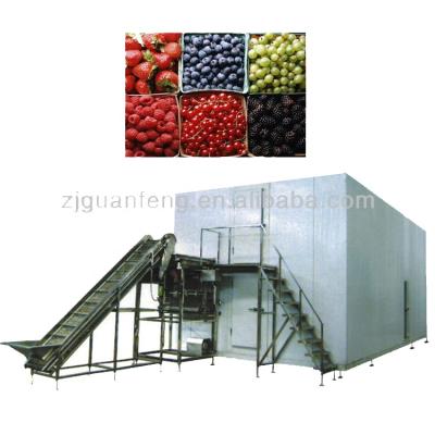 China Factory Fruit Frozen Machinery Vegetable Quick Freezing Equipment for sale