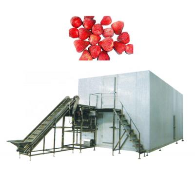 China food & Beverage factory shrimp quick freezing equipment iqf freezers for frozen fruit french fries production line for sale