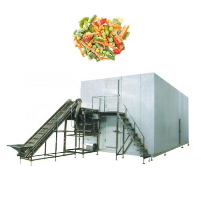 China food & Beverage Factory Vegetable And Fruit Food Quick Freezing IQF Freezers Frozen Fluid Bed Machine Price for sale