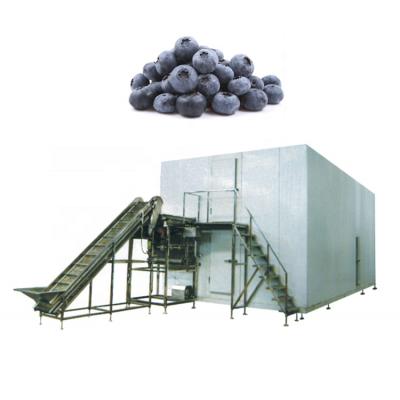 China Factory IQF Freezers Fruit Processing Quick Freeze Freezer Cold Room Fluidized Bed Freezing Machine for sale