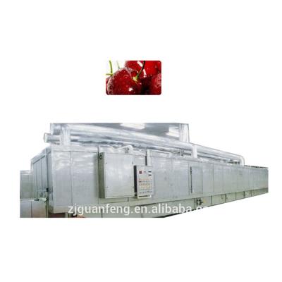 China food & Beverage Factory Vegetable and Fruit Freezer IQF Tunnel Freezer Equipment for sale