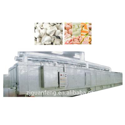 China Seafood factory industrial quick frozen freeze tunnel freezer sea cucumber machine price for sale