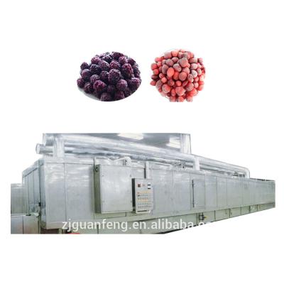 China food & Beverage factory new products hot sale small fish freezer instant freezing tunnel machine for sale