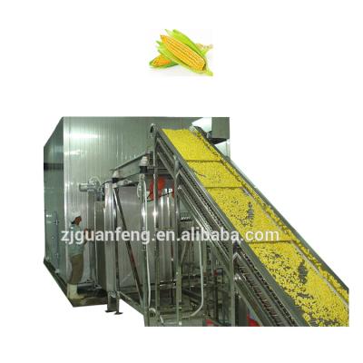 China Easy Operation Food Processing Industrial Use Frozen Corn Production Line for sale